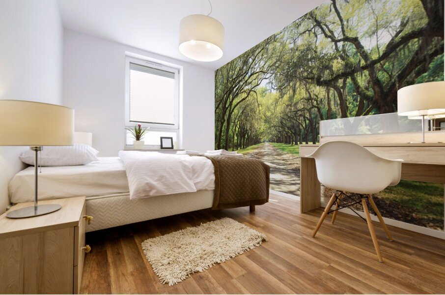 Live Oaks & Spanish Moss Wormsloe State Historic Site Savannah Georgia 85285 Mural print