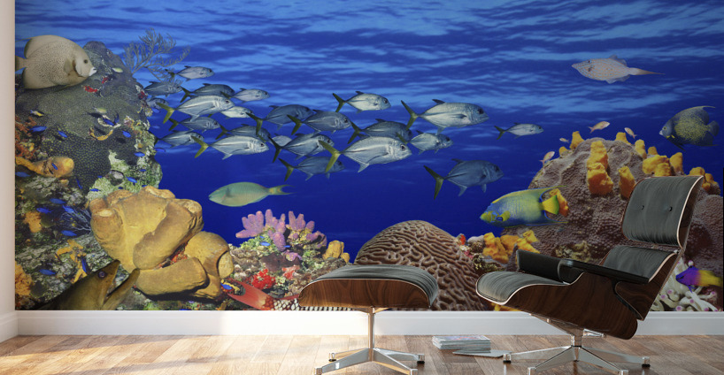 School of fish underwater in Coral Reef Composite 97037 by