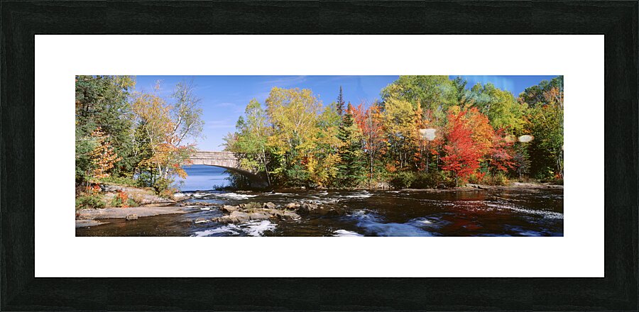 Trees Near A River Bog River New York USA 27398 Picture Frame print