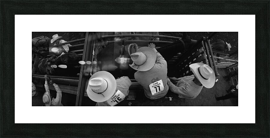 High angle view of cowboys with horses at rodeo Wichita Falls Texas USA 146585 Picture Frame print