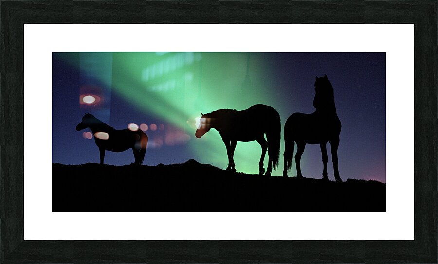 Aurora Borealous Silhouette of horses at dusk Iceland 123985 Picture Frame print