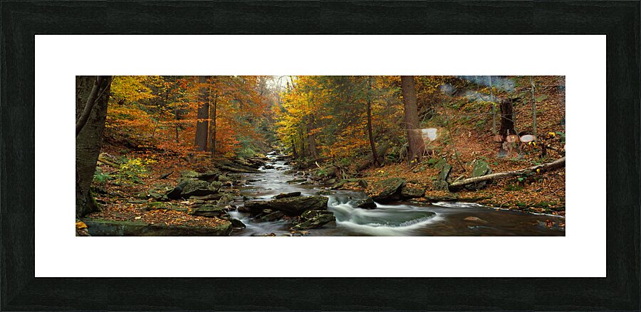 Fall Trees Kitchen Creek Pennsylvania USA 64925 Picture Frame print