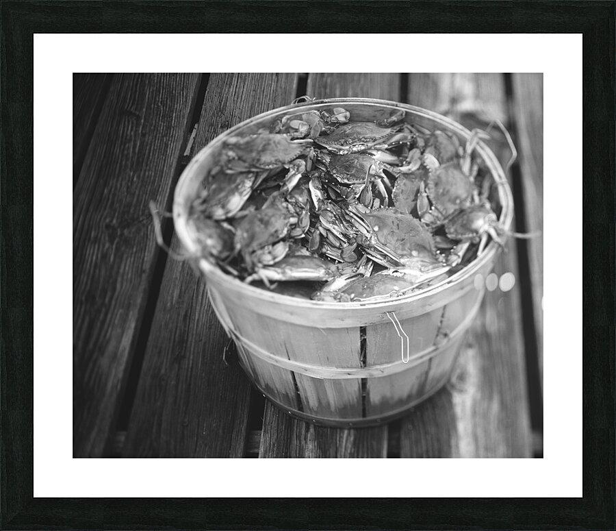 High angle view of crabs in a basket Maryland US 79429 Picture Frame print