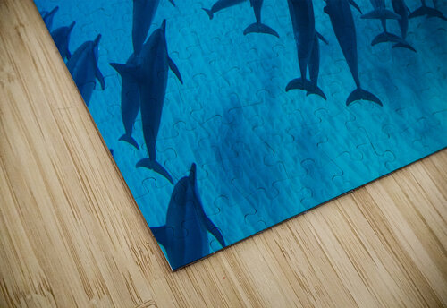 School of dolphins swimming in Pacific Ocean HI 175014 Panoramic Images puzzle
