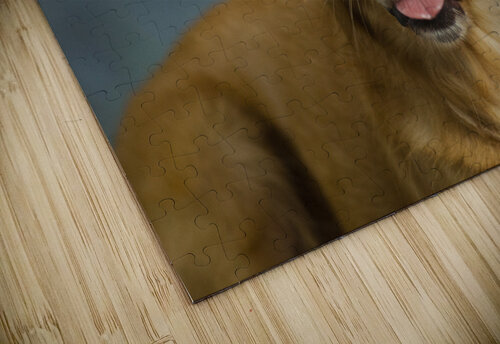 Portrait of Golden Retriever 213048 Panoramic Images puzzle