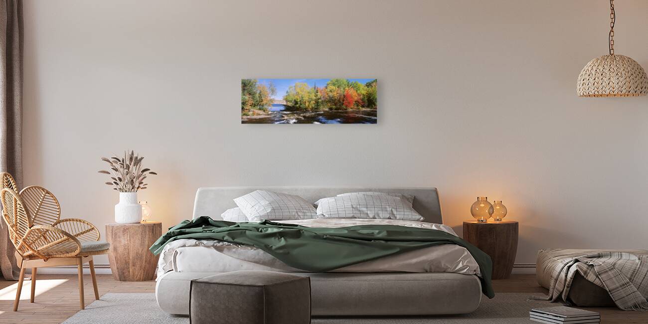 Trees Near A River Bog River New York USA 27398 Reproduction