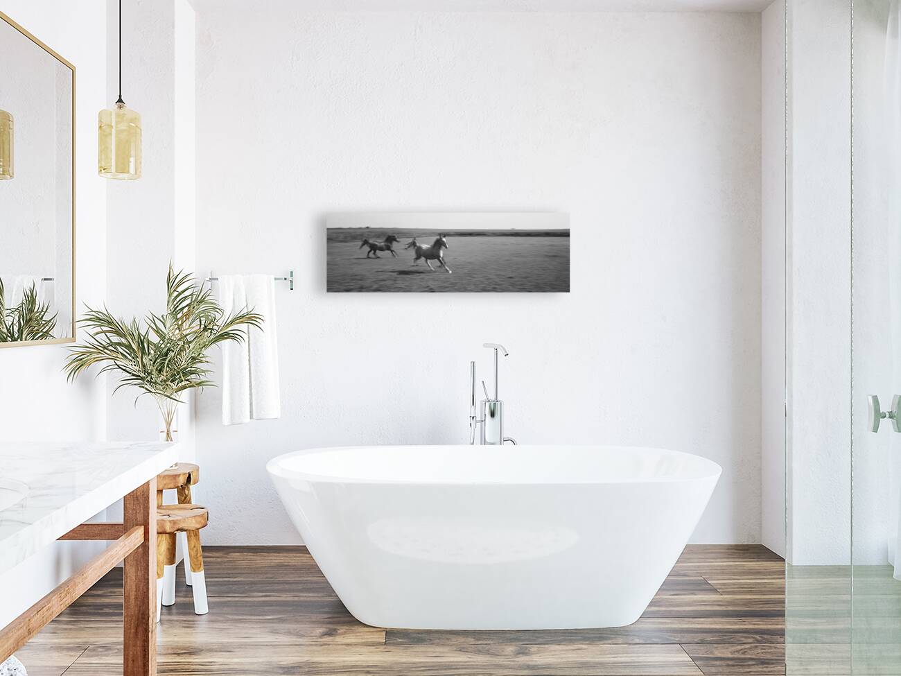 2 Arabian horses running on grassland Stelle Illinois USA 240617 Reproduction