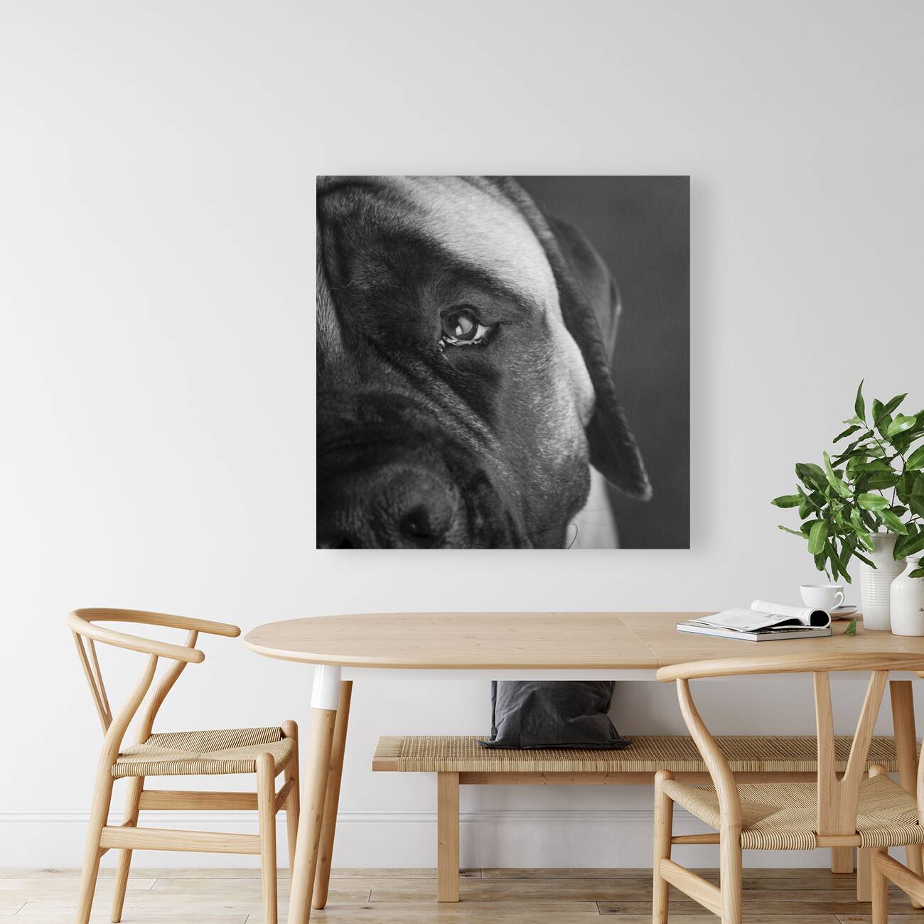 Close-up of Mastiff 208523 Reproduction