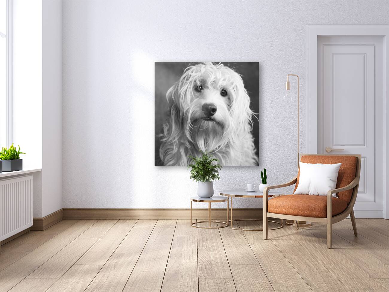 Portrait of Mini Goldendoodle 208636 Reproduction