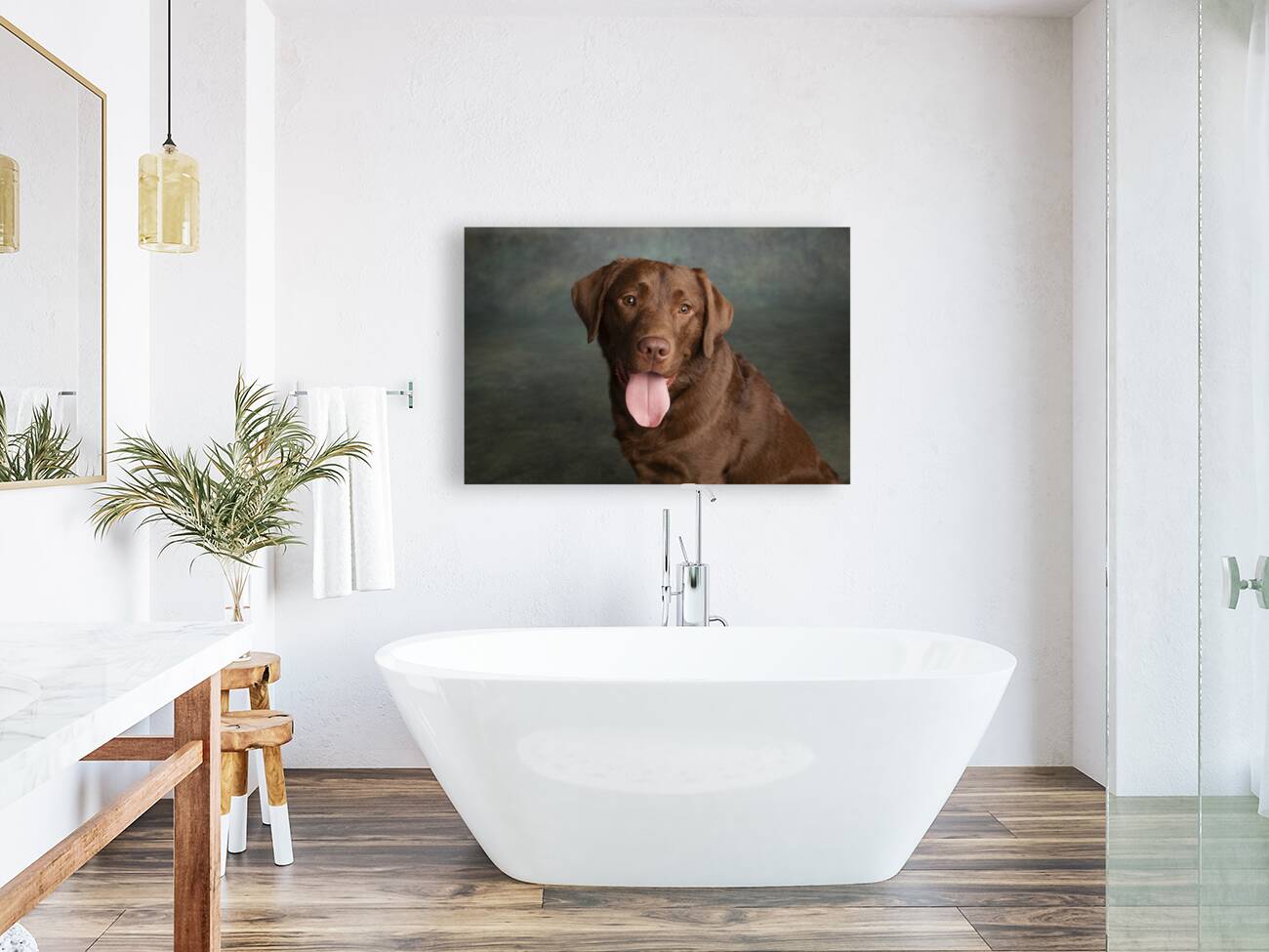 Portrait of Chocolate Labrador sticking out tongue 209009 Reproduction