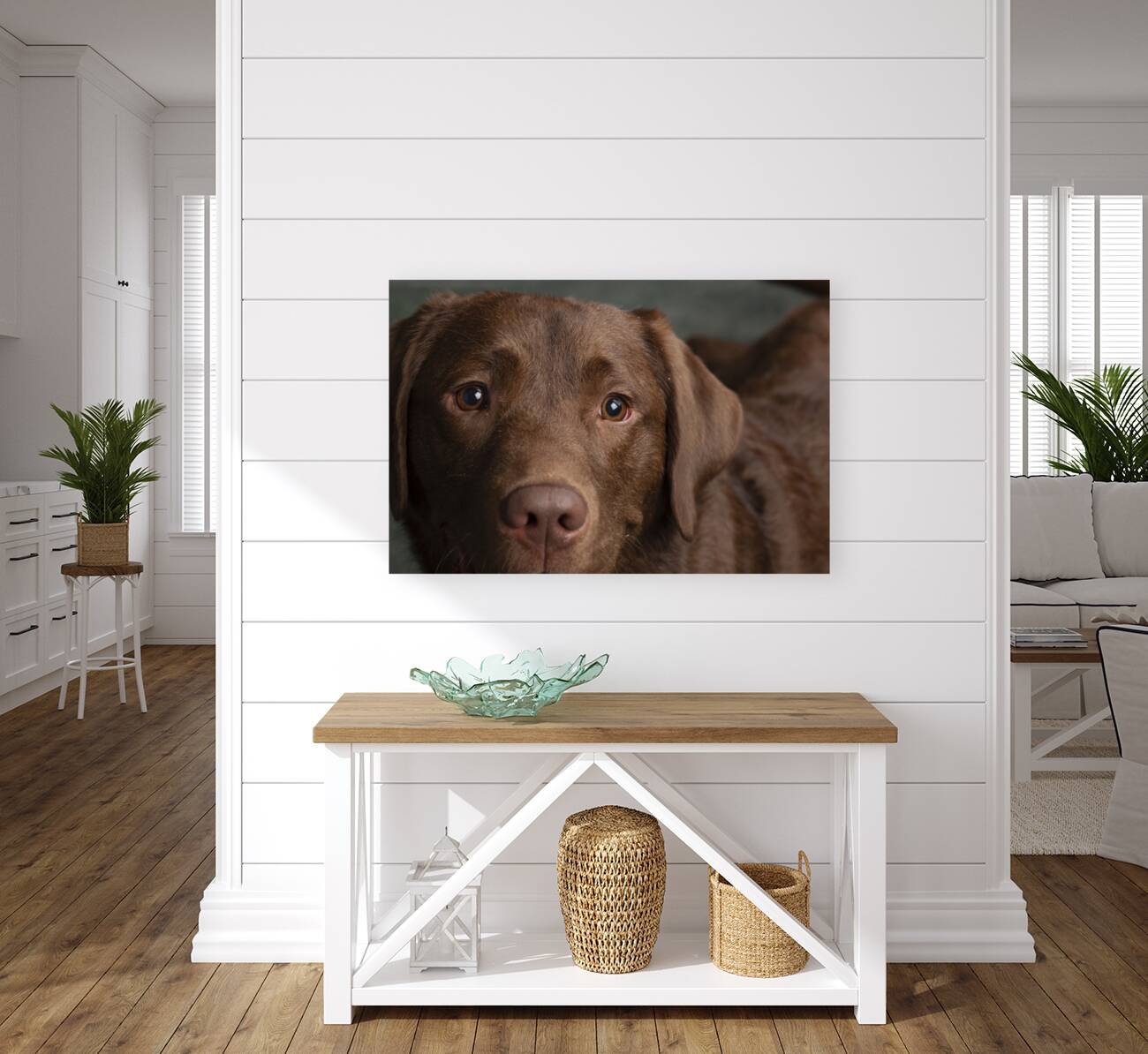 Portrait of Chocolate Labrador 208998 Reproduction