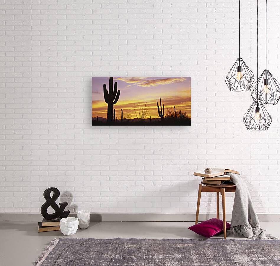 Sunset over Cactus Saguaro National Park AZ 85662 Reproduction