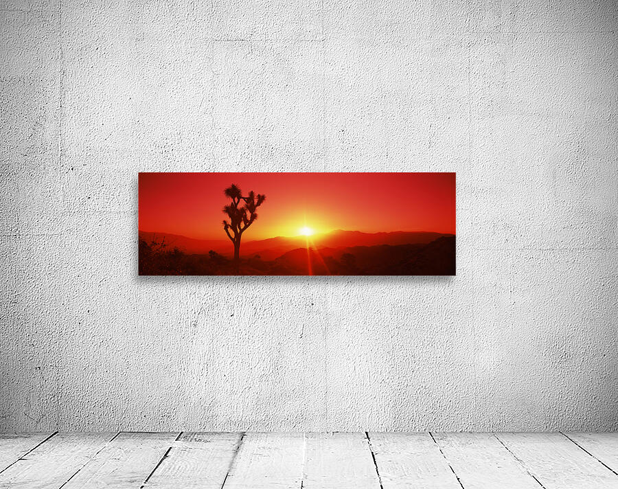 SIL Joshua tree dusk Joshua Tree Ntl Pk CA 111797 Wall Preview