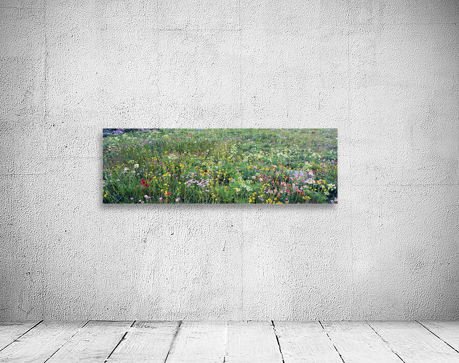 Field of wildflowers in Grand Teton Ntl Park WY 103942 Wall Preview