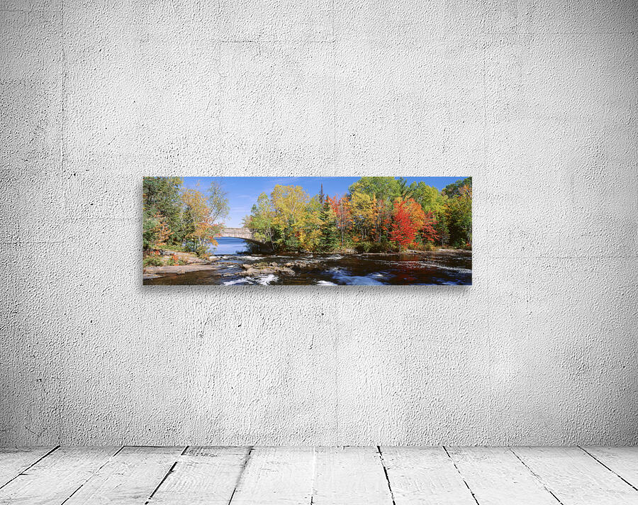 Trees Near A River Bog River New York USA 27398 Wall Preview