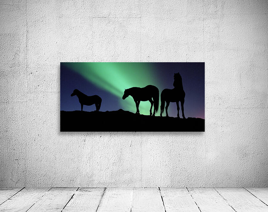 Aurora Borealous Silhouette of horses at dusk Iceland 123985 Wall Preview