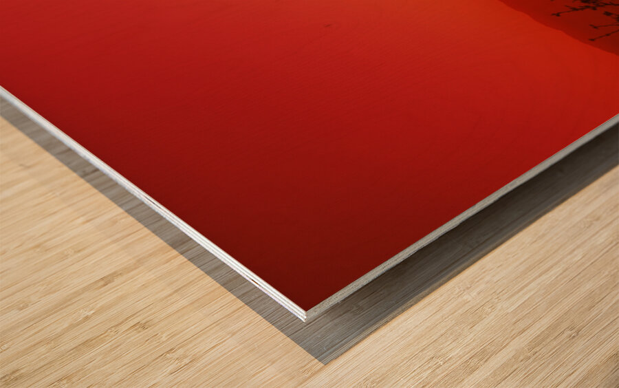 SIL Joshua tree dusk Joshua Tree Ntl Pk CA 111797 Wood print