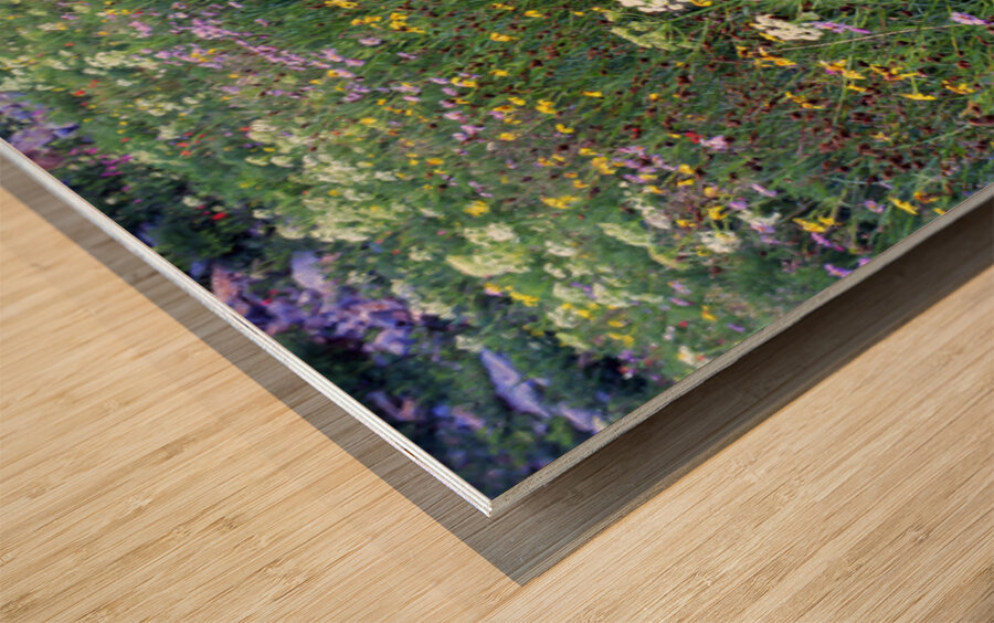 Field of wildflowers in Grand Teton Ntl Park WY 103942 Wood print