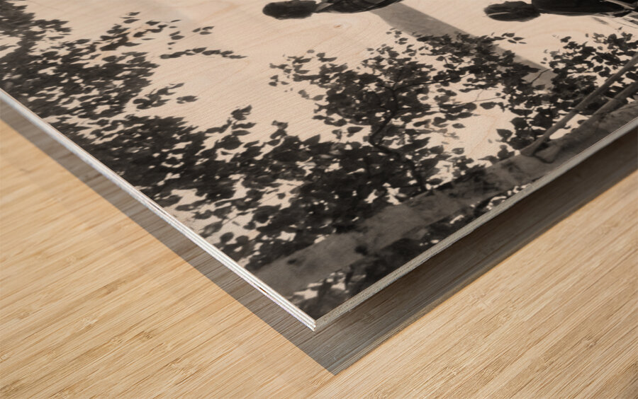 1930s 5 GIRLS AROUND CAMP FIRE ALGONQUIN PARK CA 177711 Wood print