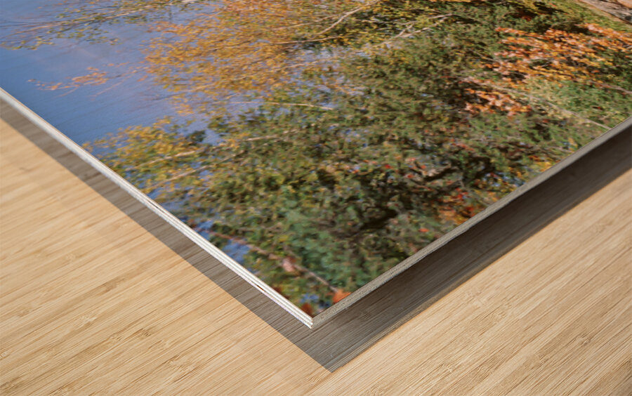 Trees Near A River Bog River New York USA 27398 Wood print