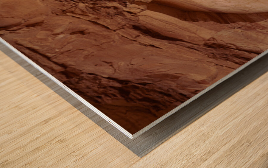 Rock Art Panel Canyon Style Canyonlands National Park UT USA 29818 Wood print