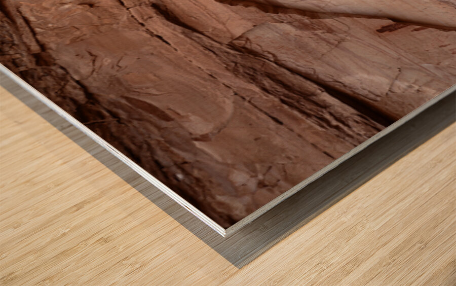 Rock Art Panel Horseshoe Canyon Canyonlands National Park UT USA 30629 Wood print