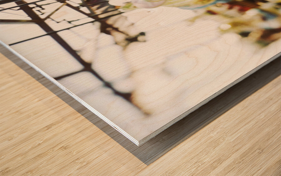 Close-up of carousel horses Coney Island Brooklyn New York City USA 118689 Wood print