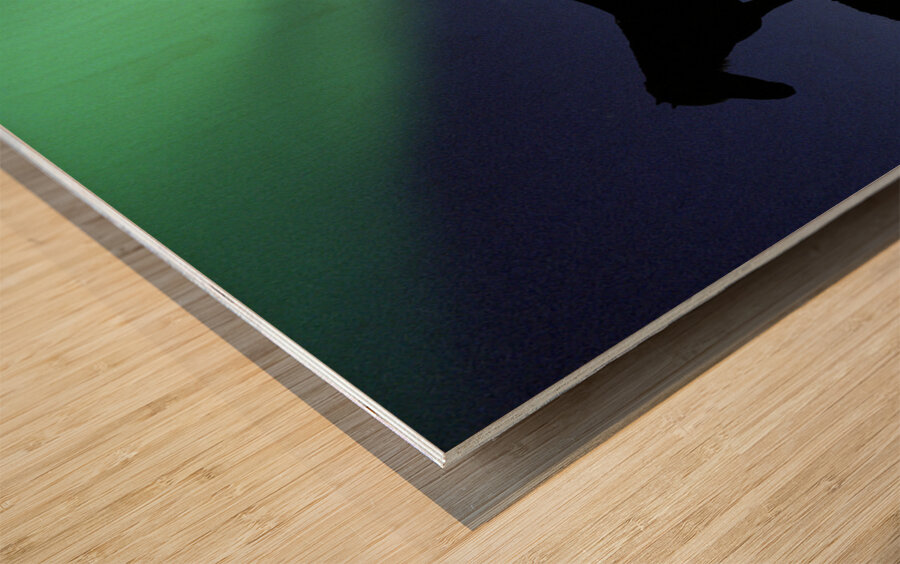 Aurora Borealous Silhouette of horses at dusk Iceland 123985 Wood print