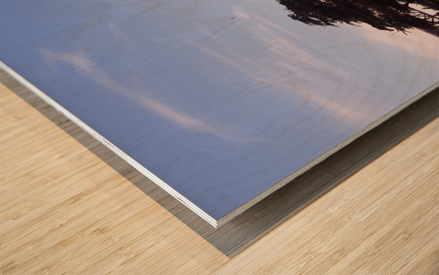 Golden Gate Bridge San Francisco California USA 70806 Wood print