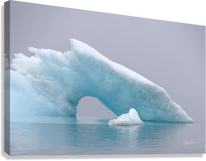Aquamarine Canvas Print