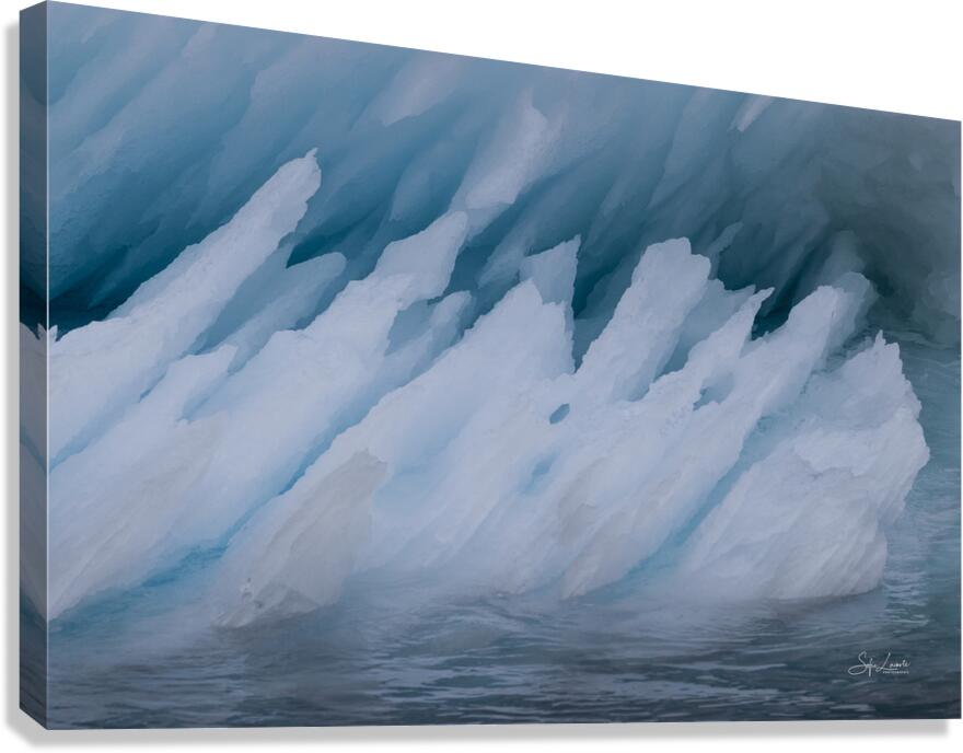 frezzing abstraction Canvas Print