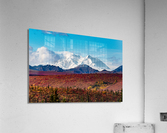 Denali Acrylic Print