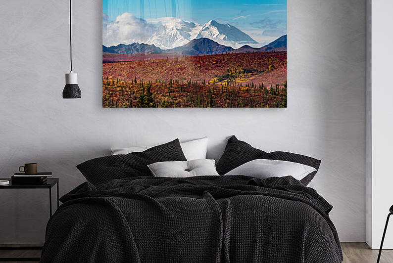 Denali by The David Underwood