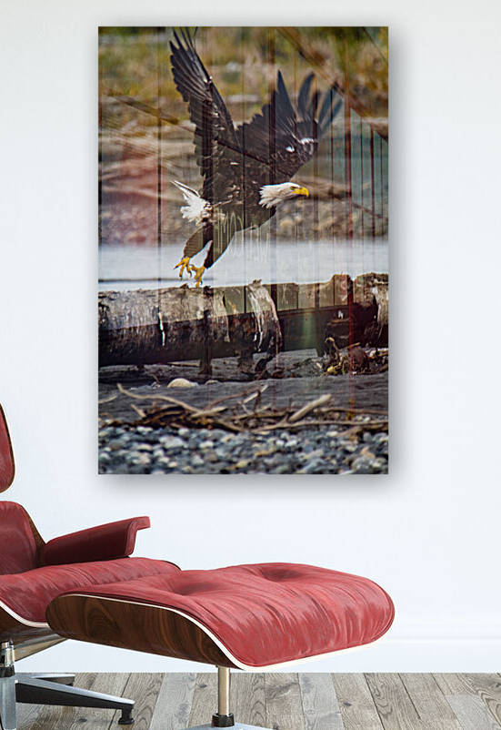 Fly Like an Eagle by The David Underwood
