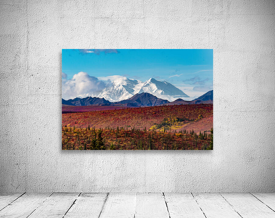 Denali Wall Preview