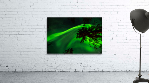 Natures Glow  Wall Preview