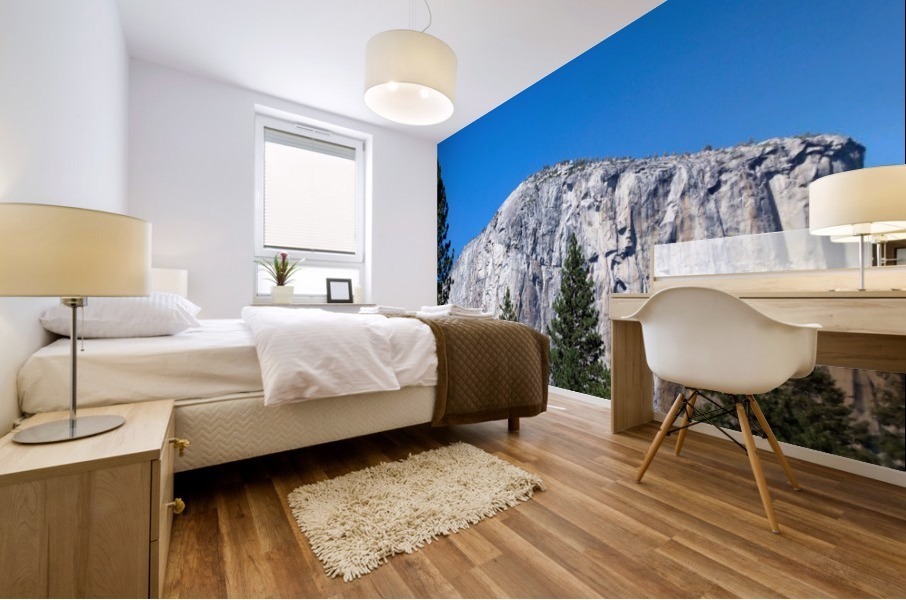 El Capitan Mural print