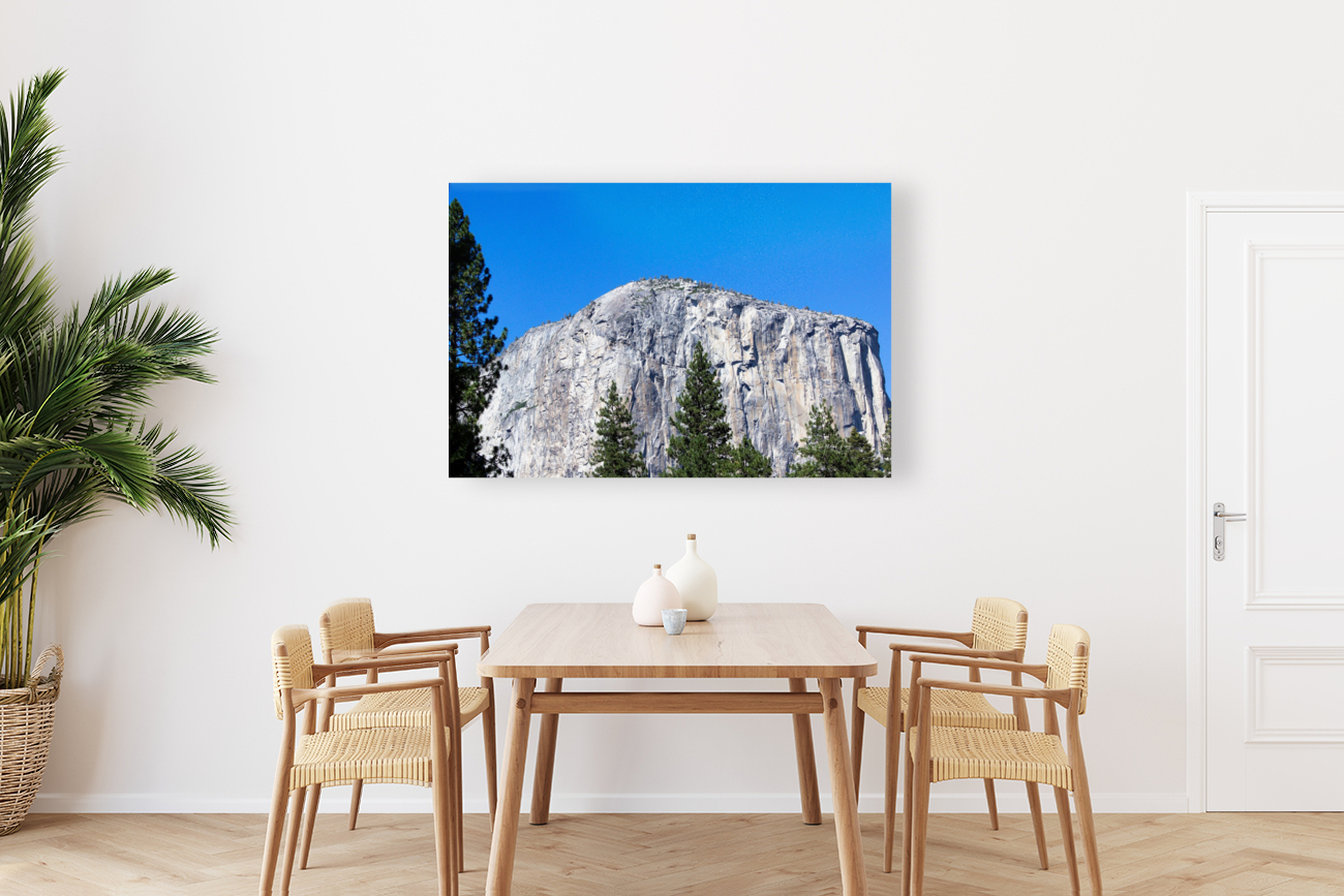 El Capitan Reproduction