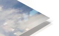 DSC02151.ys HD Metal print