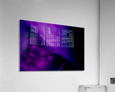  violet euphoria Acrylic Print