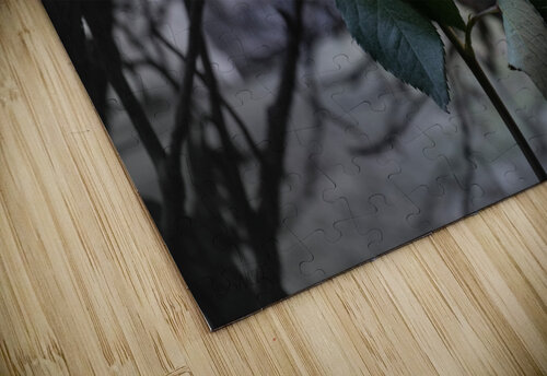 weak  beaute Myapsalms puzzle