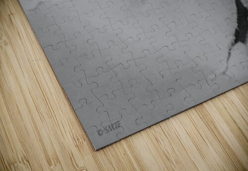 Black in White Myapsalms puzzle