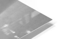 Black in White HD Metal print