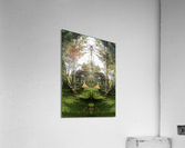 AN APPLE Acrylic Print