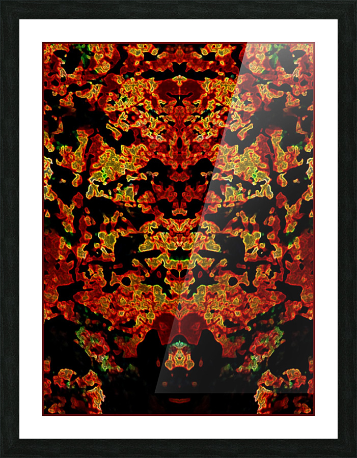 THE FRONT GATE Picture Frame print