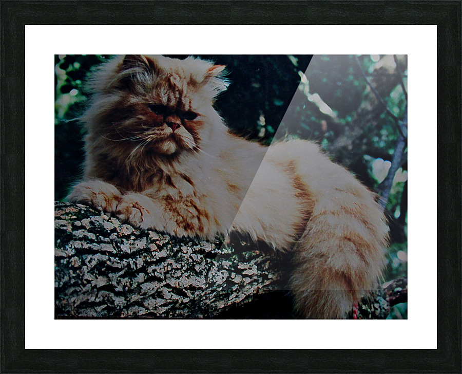 SABASTIAN Picture Frame print