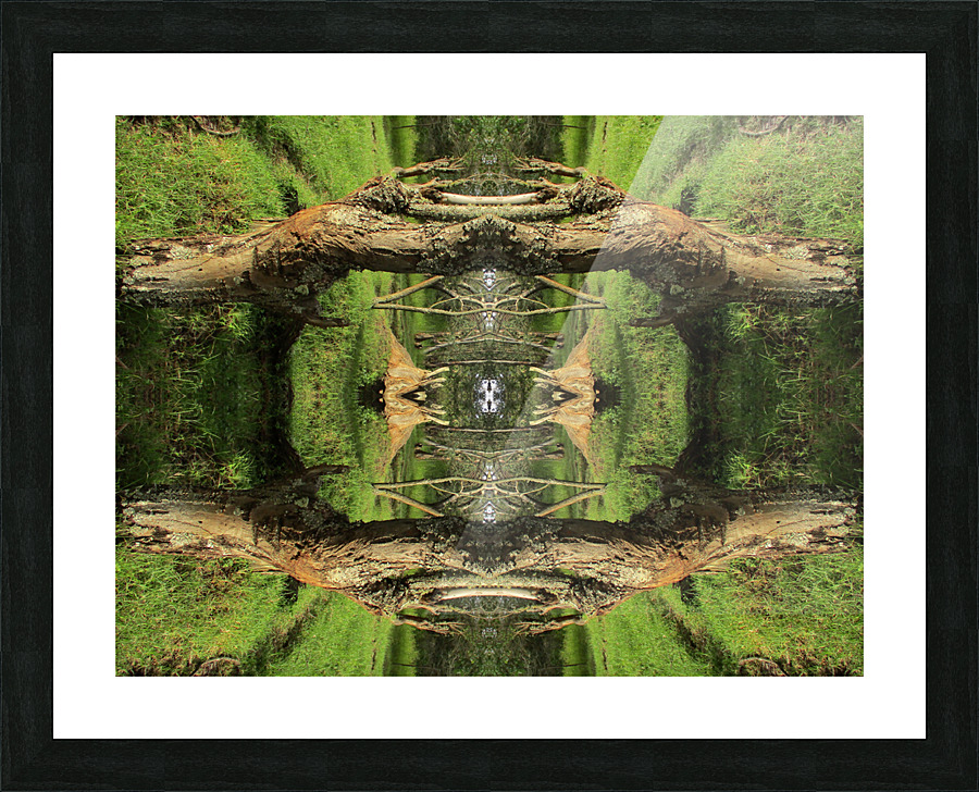 A DEVIDER Picture Frame print