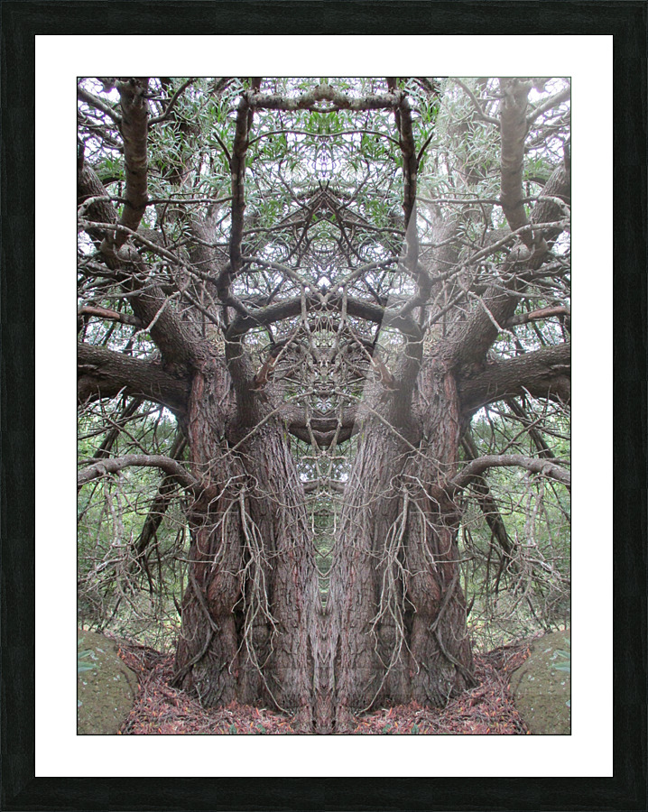 A MOUSES HOUSE Picture Frame print