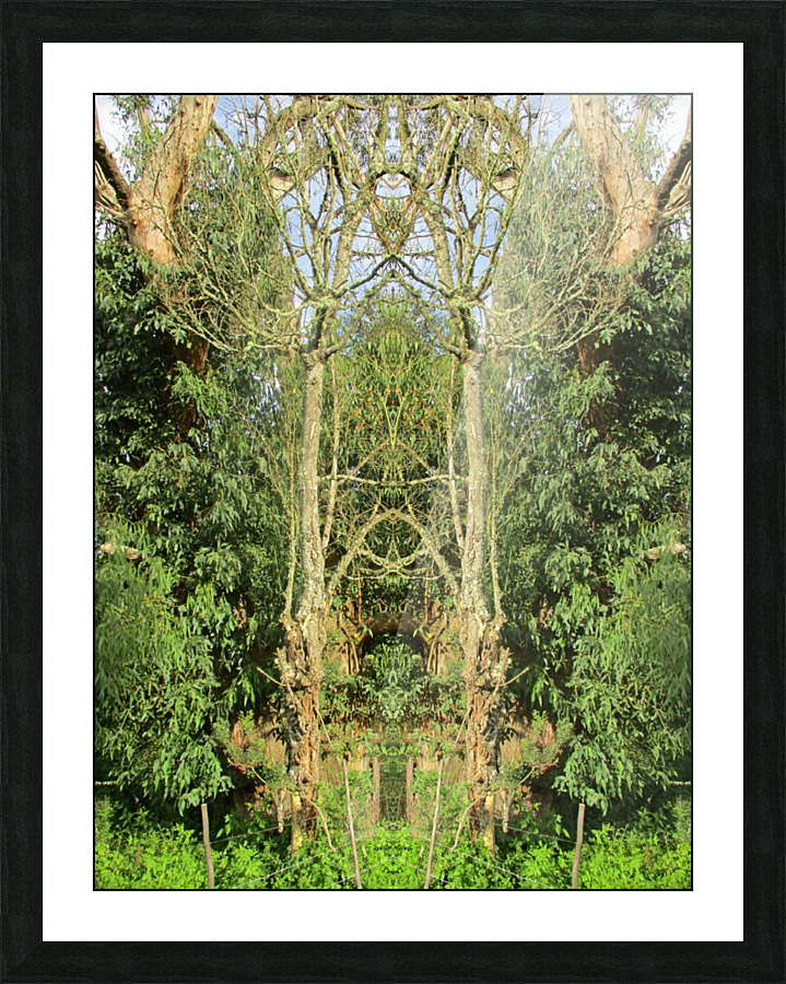 A SACRED PLACE Picture Frame print