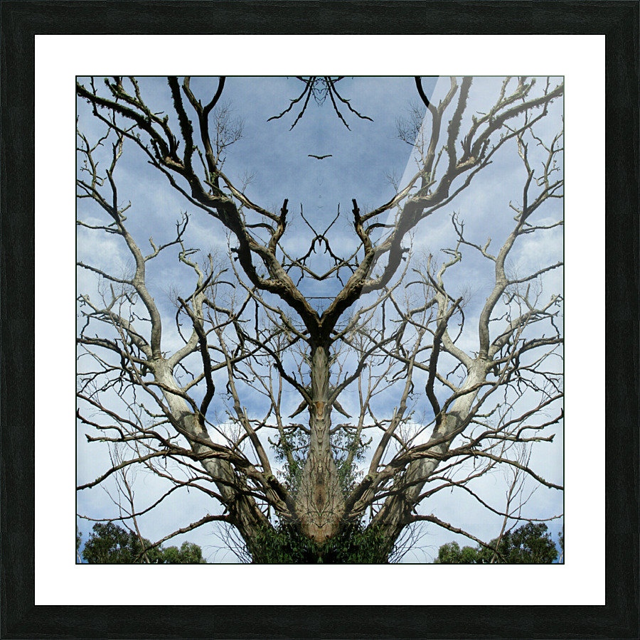 A BUCK TREE Picture Frame print